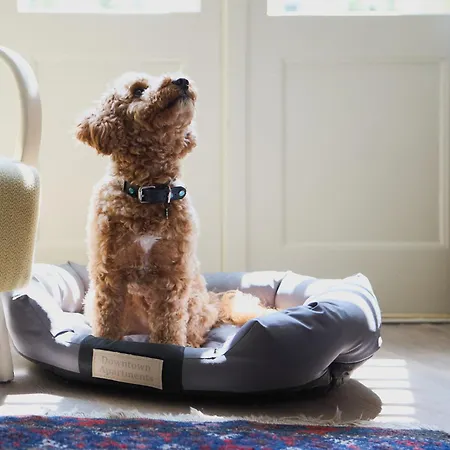 Deco By Downtown Appartamento