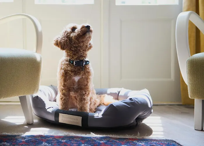 Deco By Downtown Hotel apartamentowy